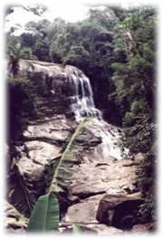 Ubatuba